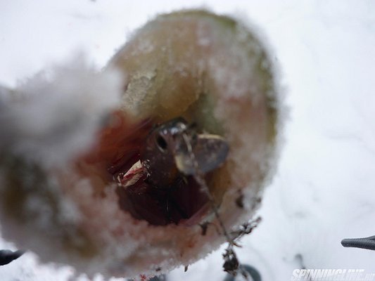 Изображение 1 : Кастинг зимой..ловим щуку